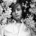 sondre-anco