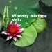 wooozy mixtape vol.6