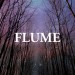 Flume "Sleepless (Feat. Anthony For Cleopatra)