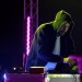 gold panda black rabbit festival