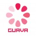 Guava厂牌