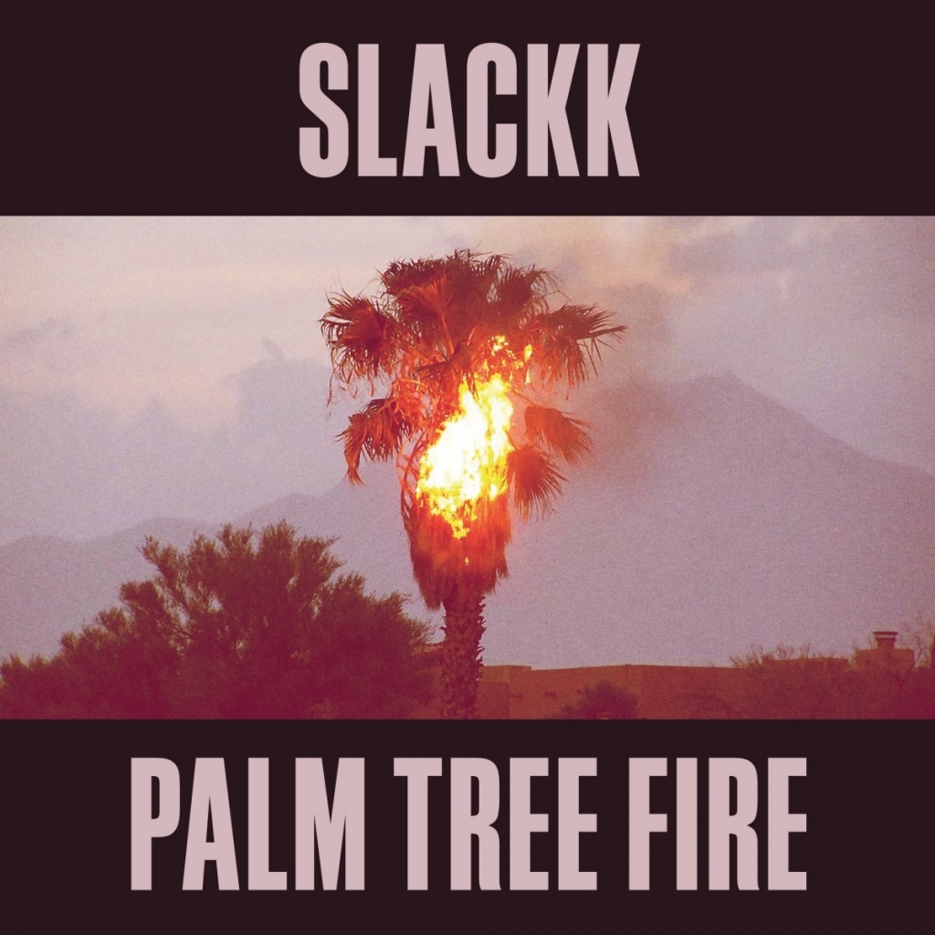 Slackk_Palm_Tree_Fire_Local_Action_Album_Artwork
