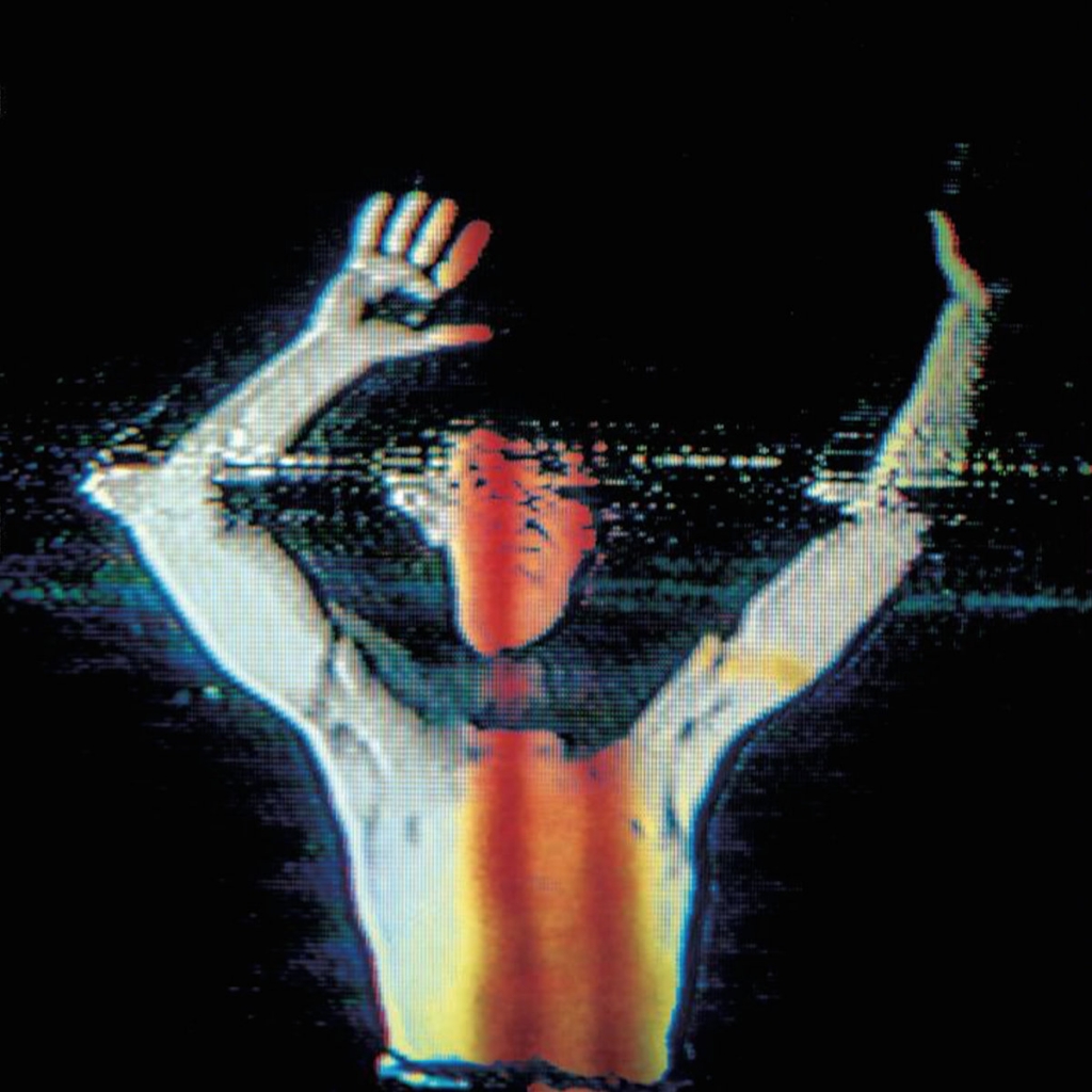 Forests — Dead Species